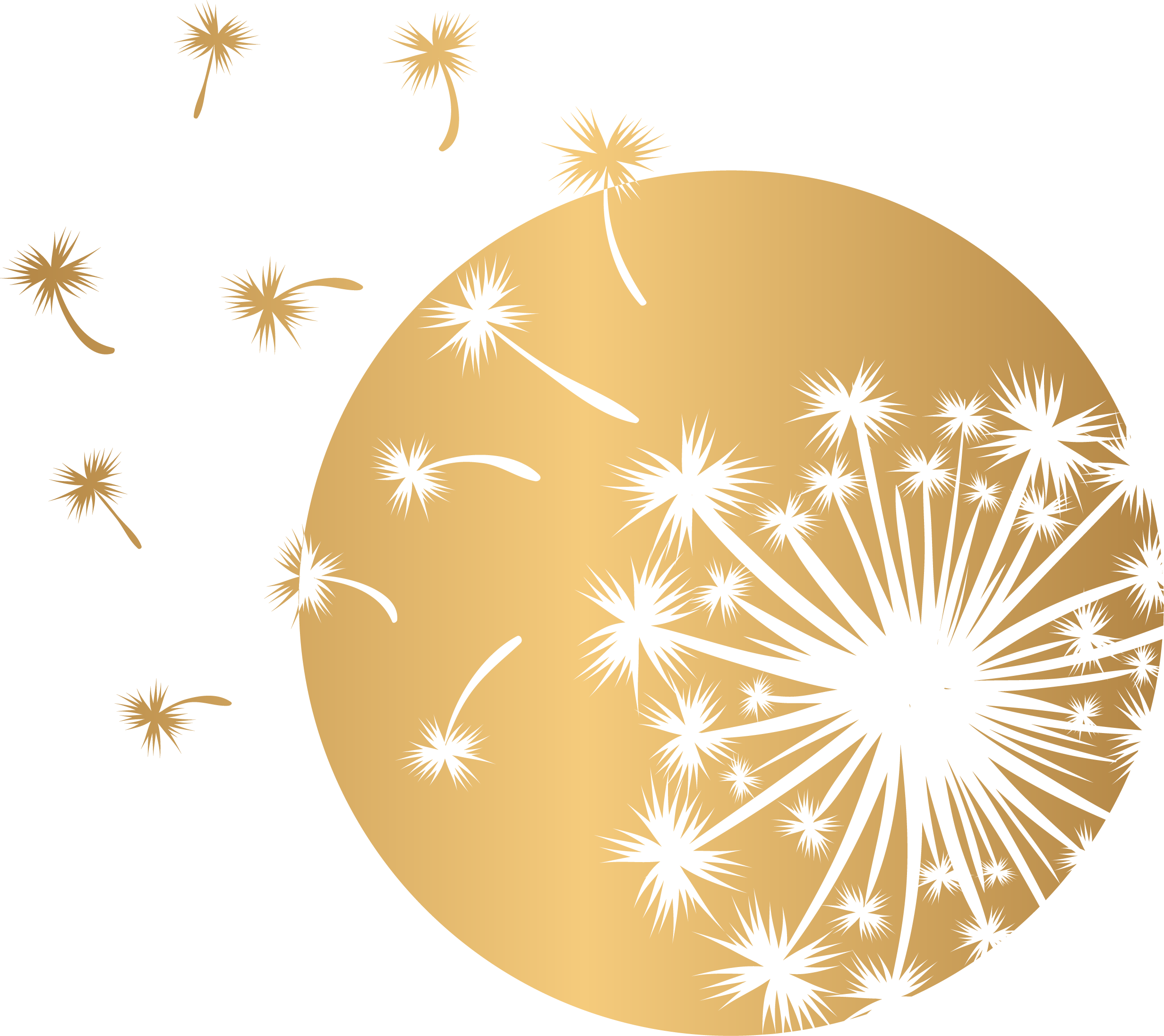 Chester County Therapy Center